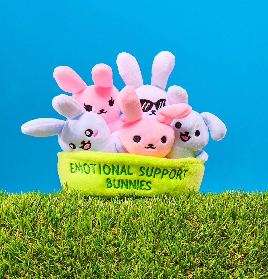 Emotional Support Pals Bunnies