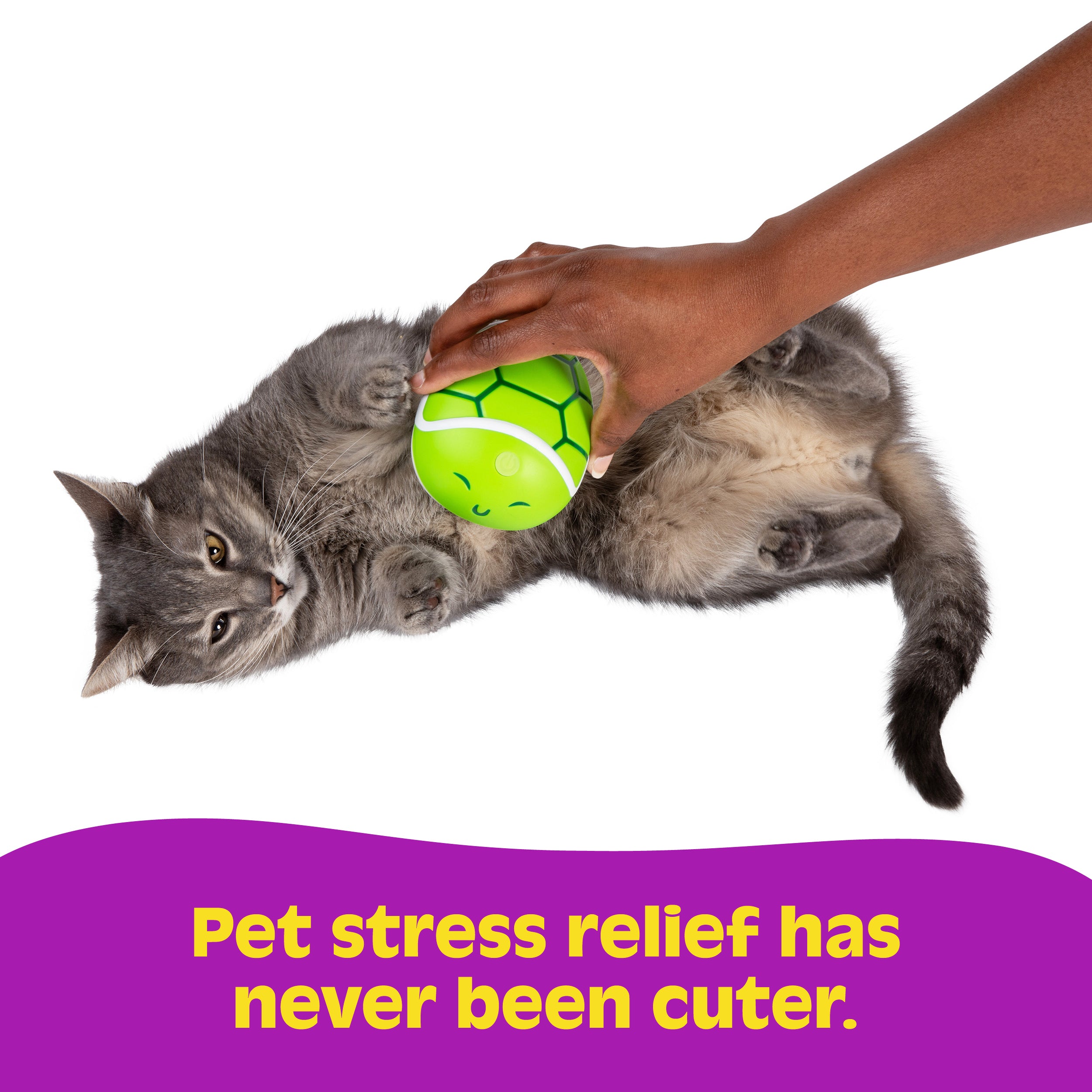 Paws & Relax: The Ultimate Pet Massager