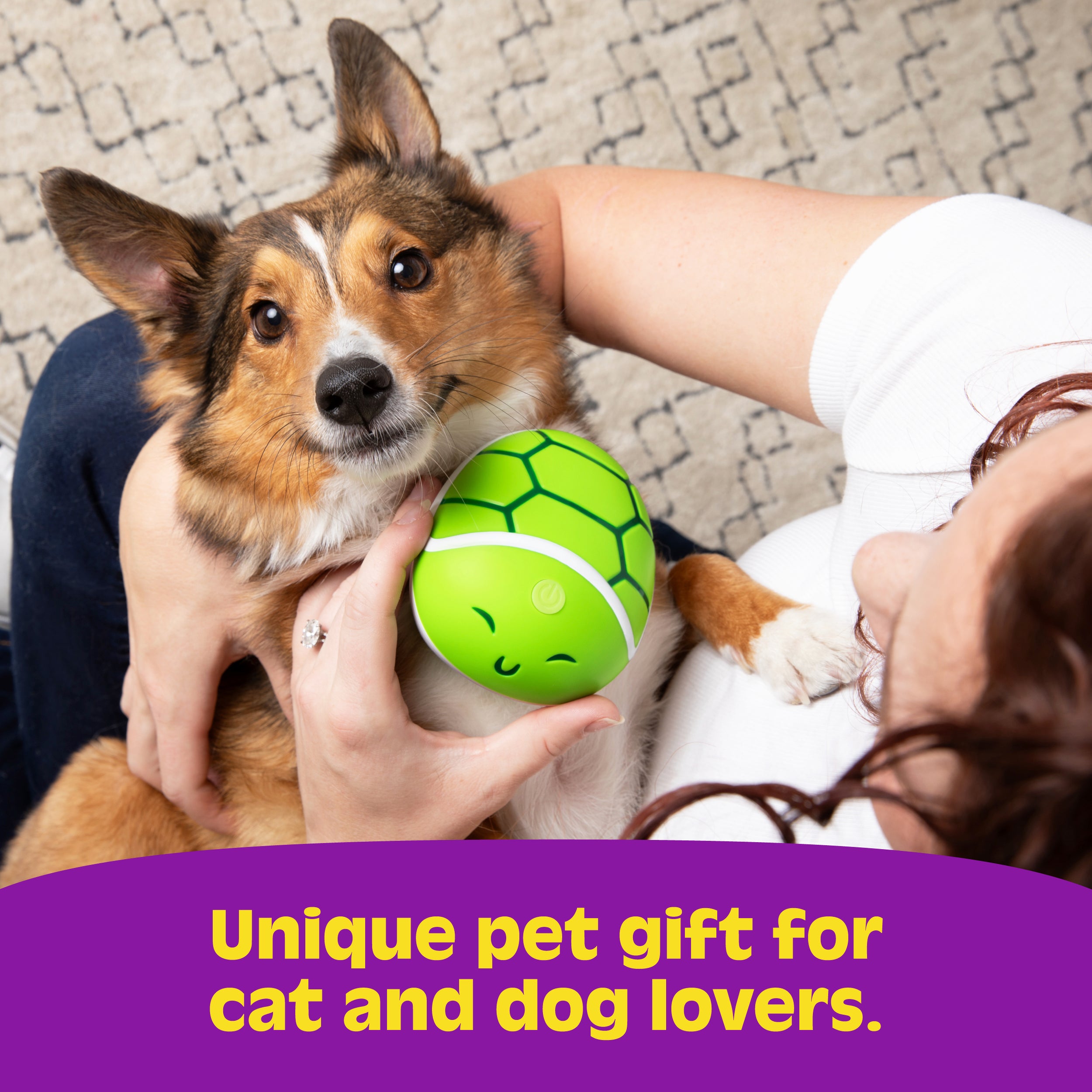 Paws & Relax: The Ultimate Pet Massager