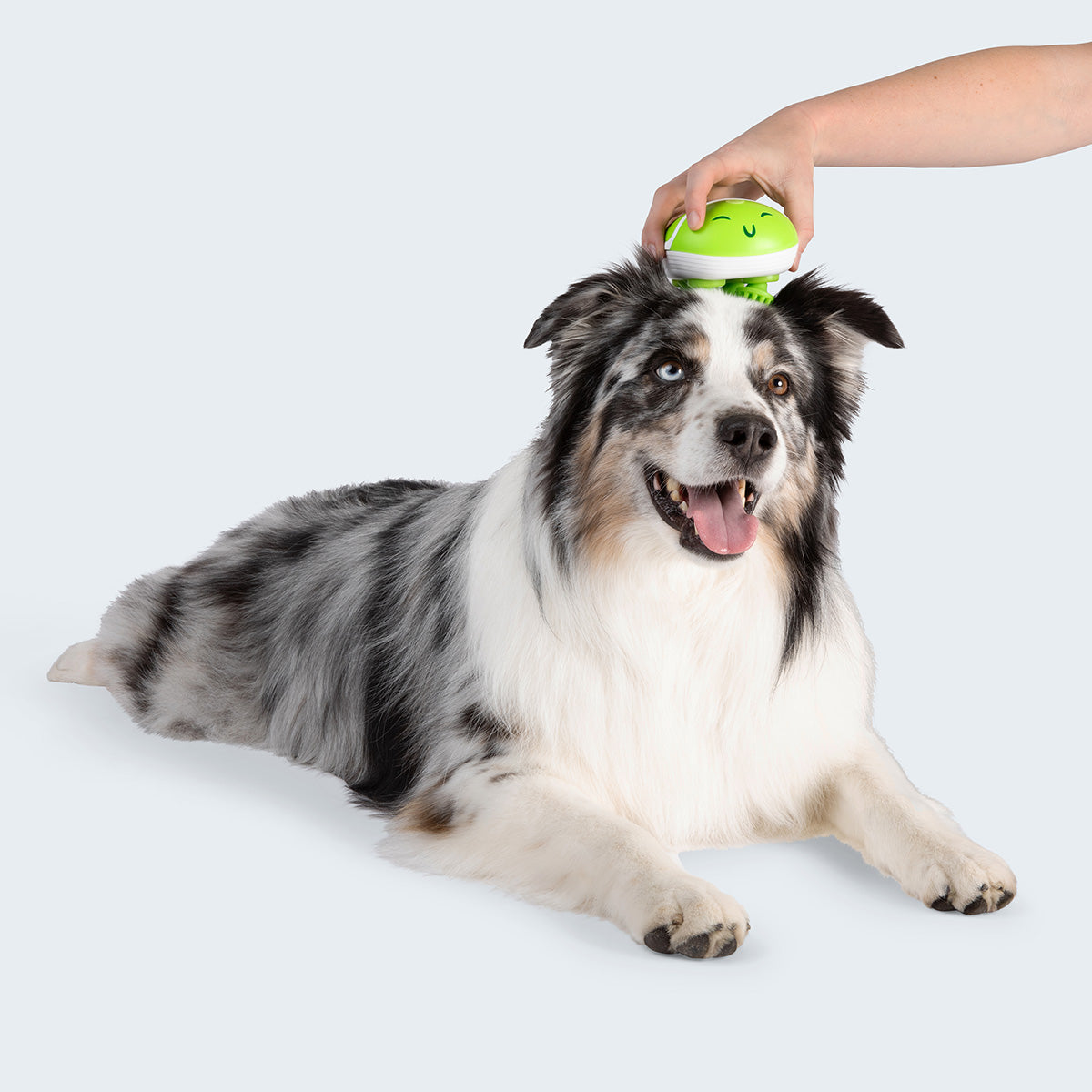 Paws & Relax: The Ultimate Pet Massager