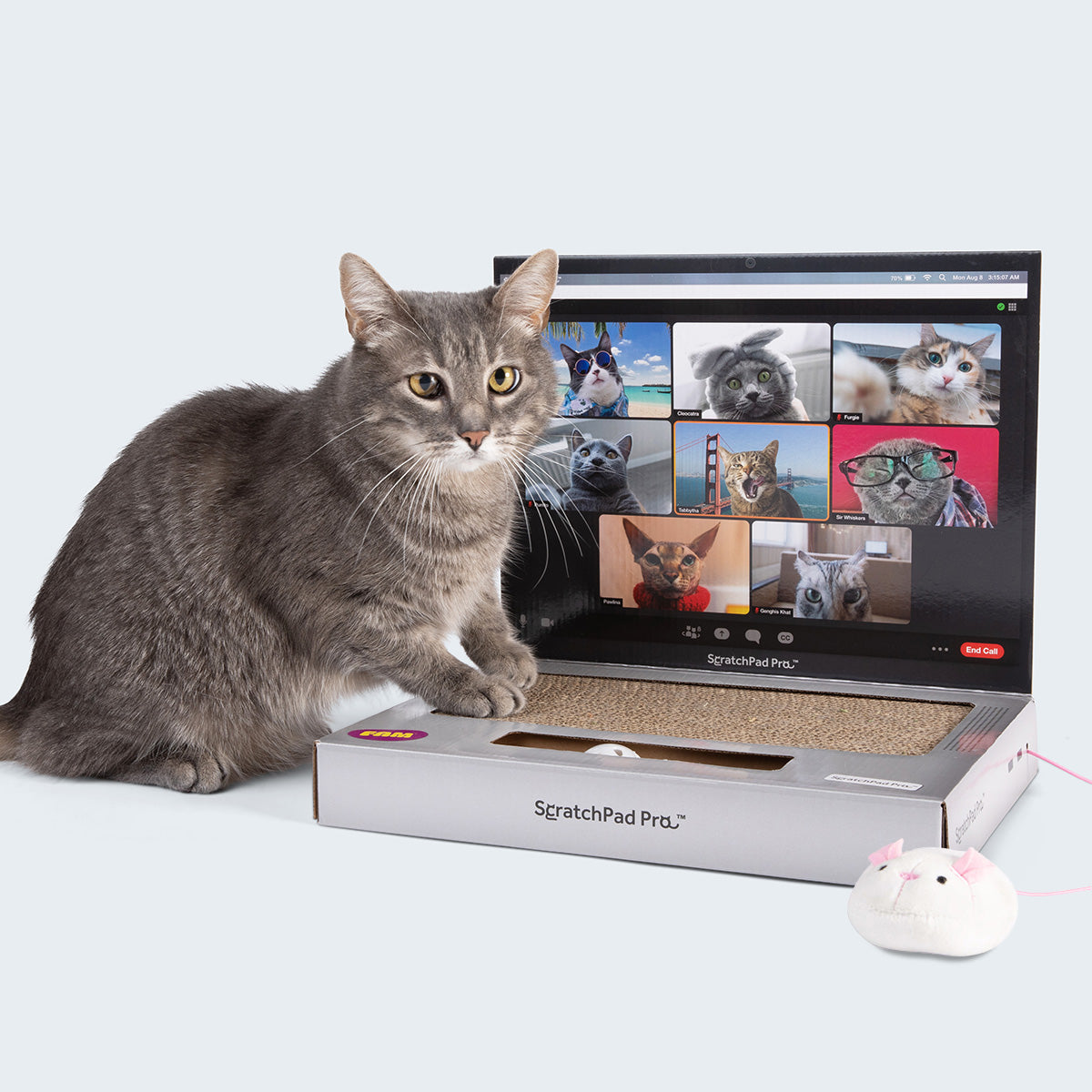 ScratchPad Pro — Cardboard Laptop Cat Scratcher