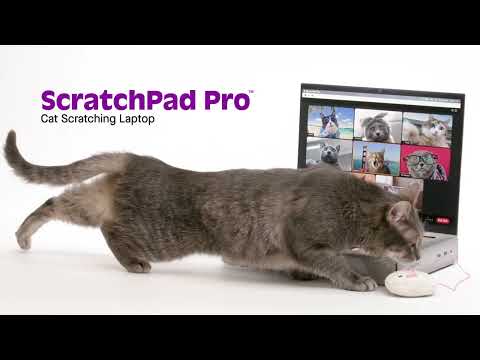 ScratchPad Pro — Cardboard Laptop Cat Scratcher