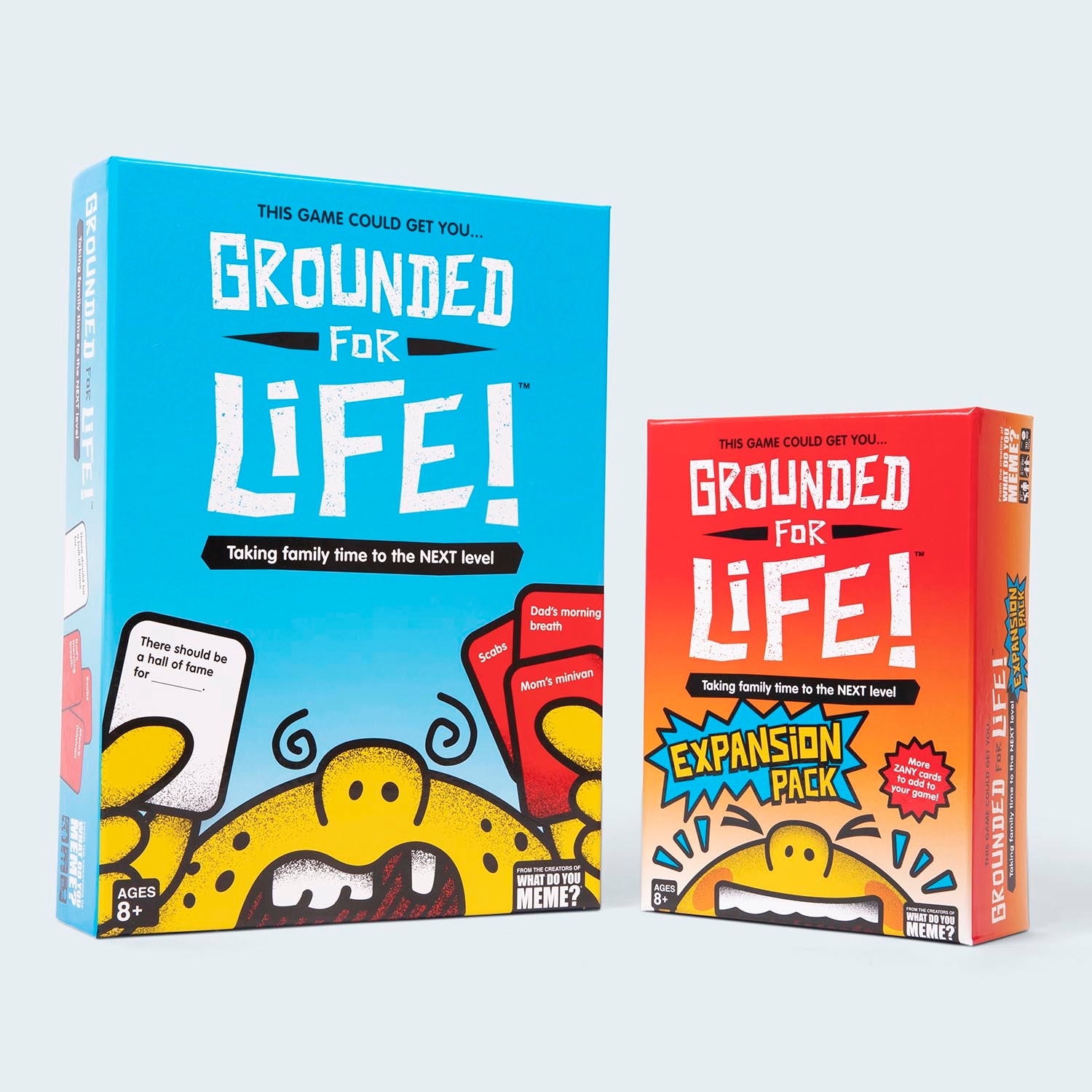 grounded-for-life-expansion-pack-game-box-and-game-play-05-what-do-you-meme-by-relatable
