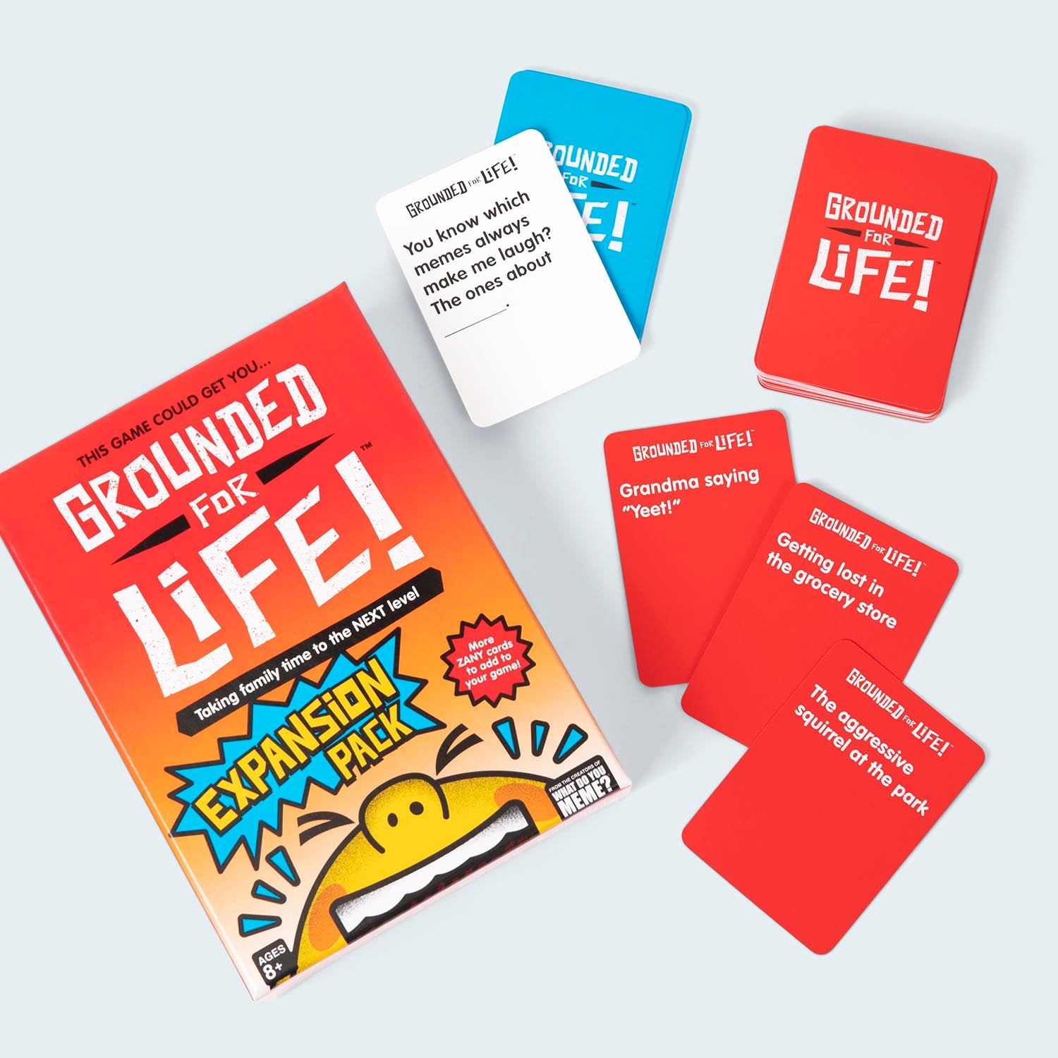 grounded-for-life-expansion-pack-game-box-and-game-play-07-what-do-you-meme-by-relatable