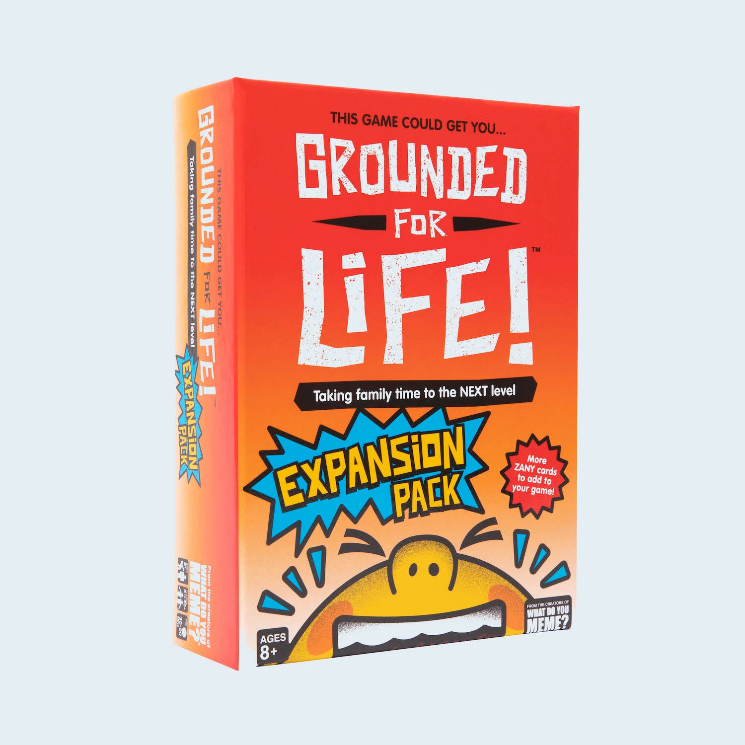 grounded-for-life-expansion-pack-game-box-and-game-play-01-what-do-you-meme-by-relatable
