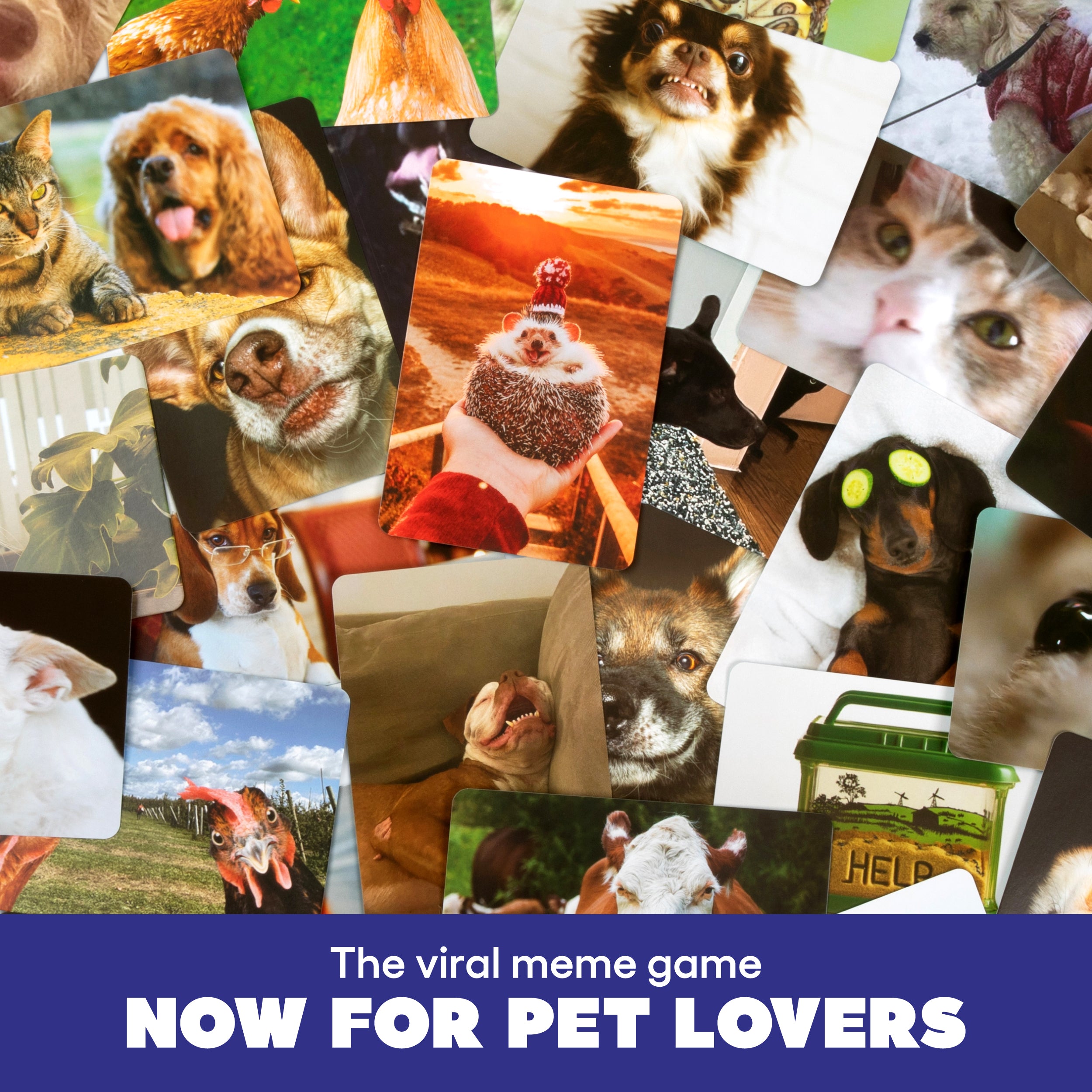 What Do You Meme? Family Pets Only Edition – A Hilarious Meme Game for Kids and Families