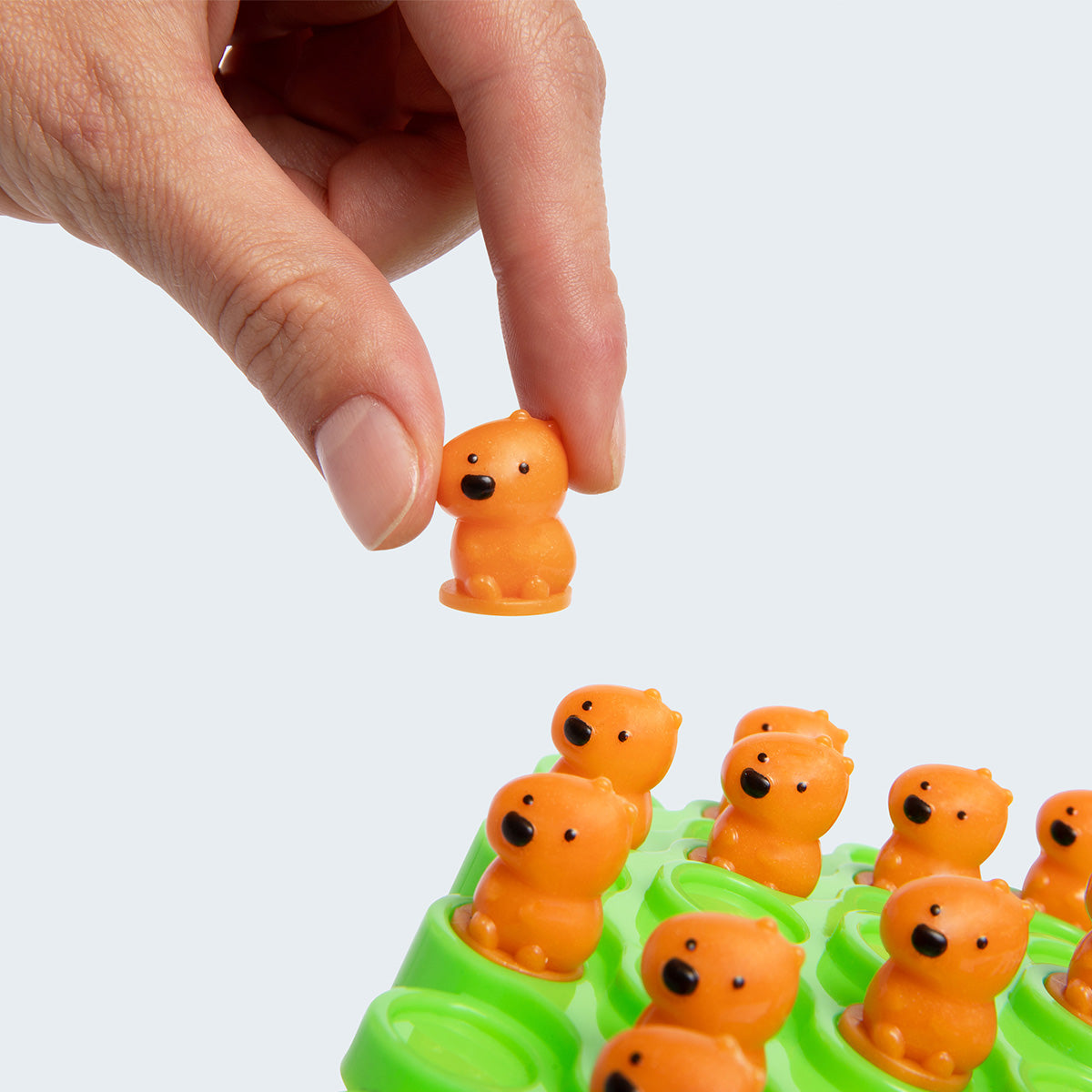 Creature Crash - A Wobbly, Wild Capybara Balancing Game for Kids