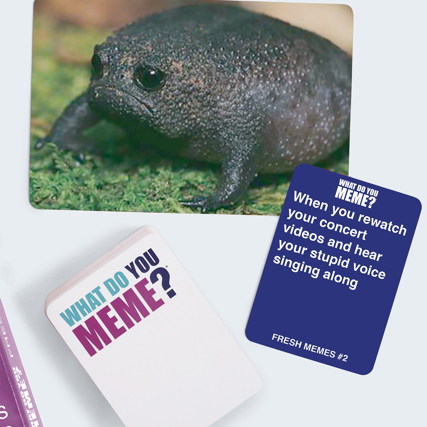 What Do You Meme?® Fresh Memes #2 Expansion Pack