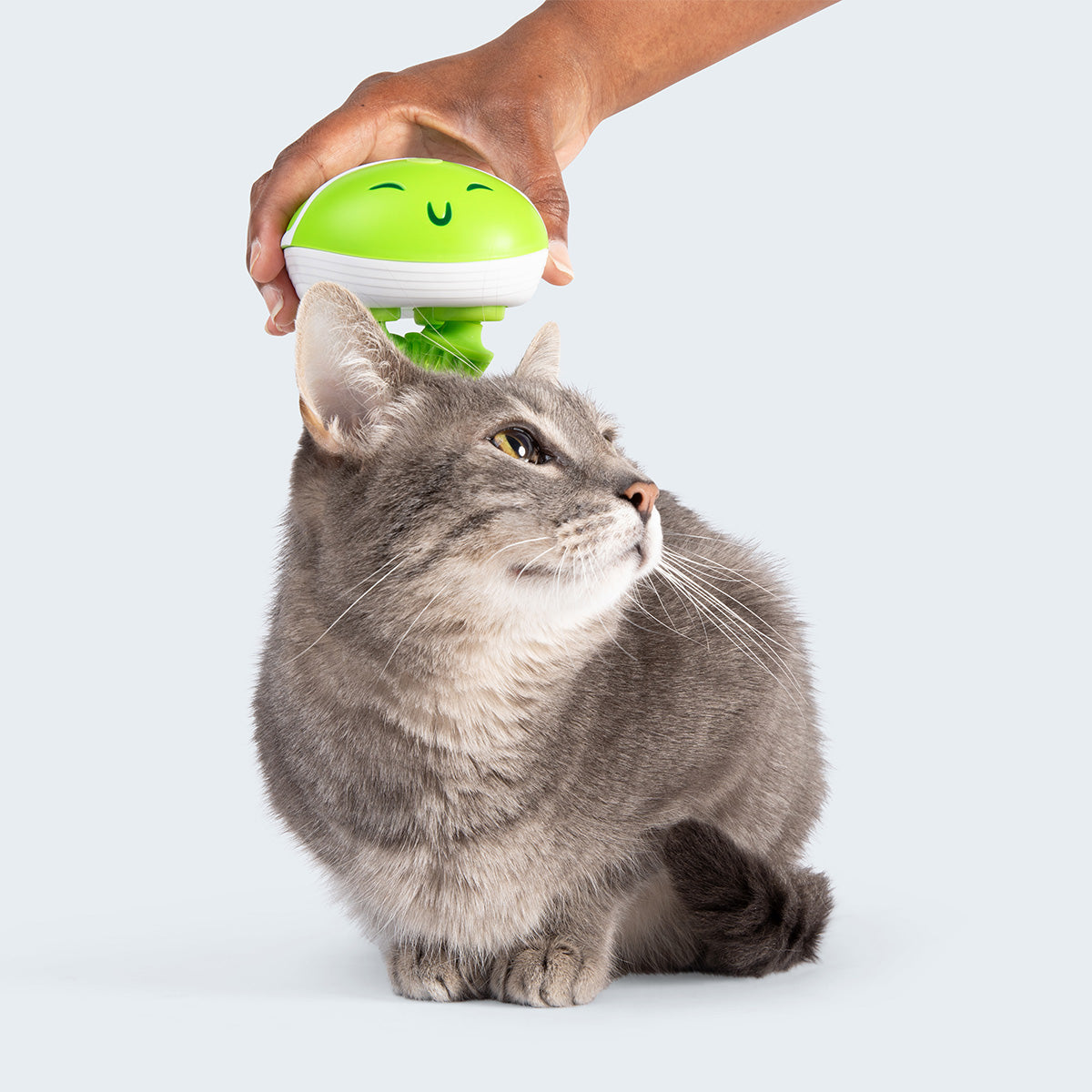 Paws & Relax: The Ultimate Pet Massager