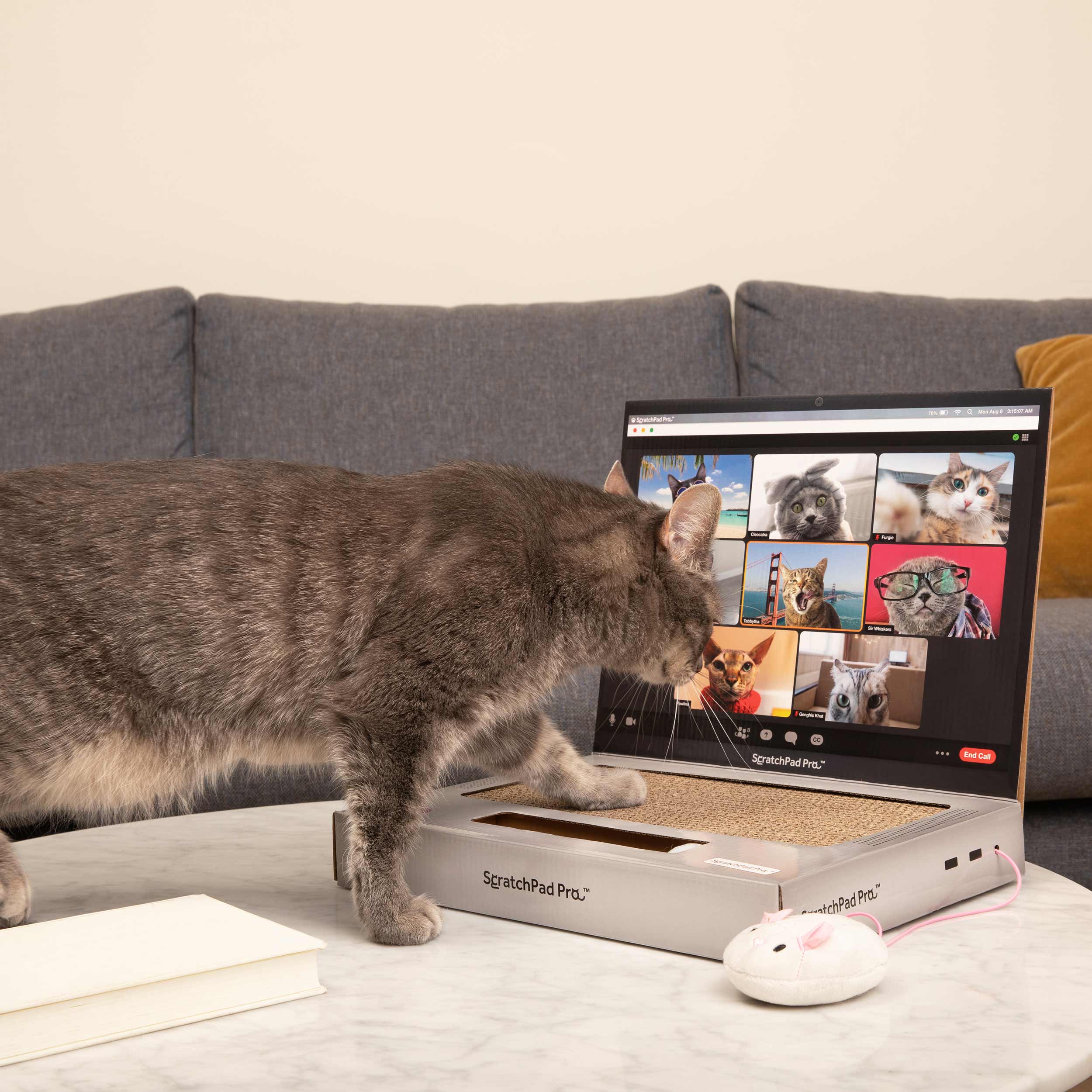Scratchpad Pro: Cardboard Laptop Cat Scratching Toy – Relatable