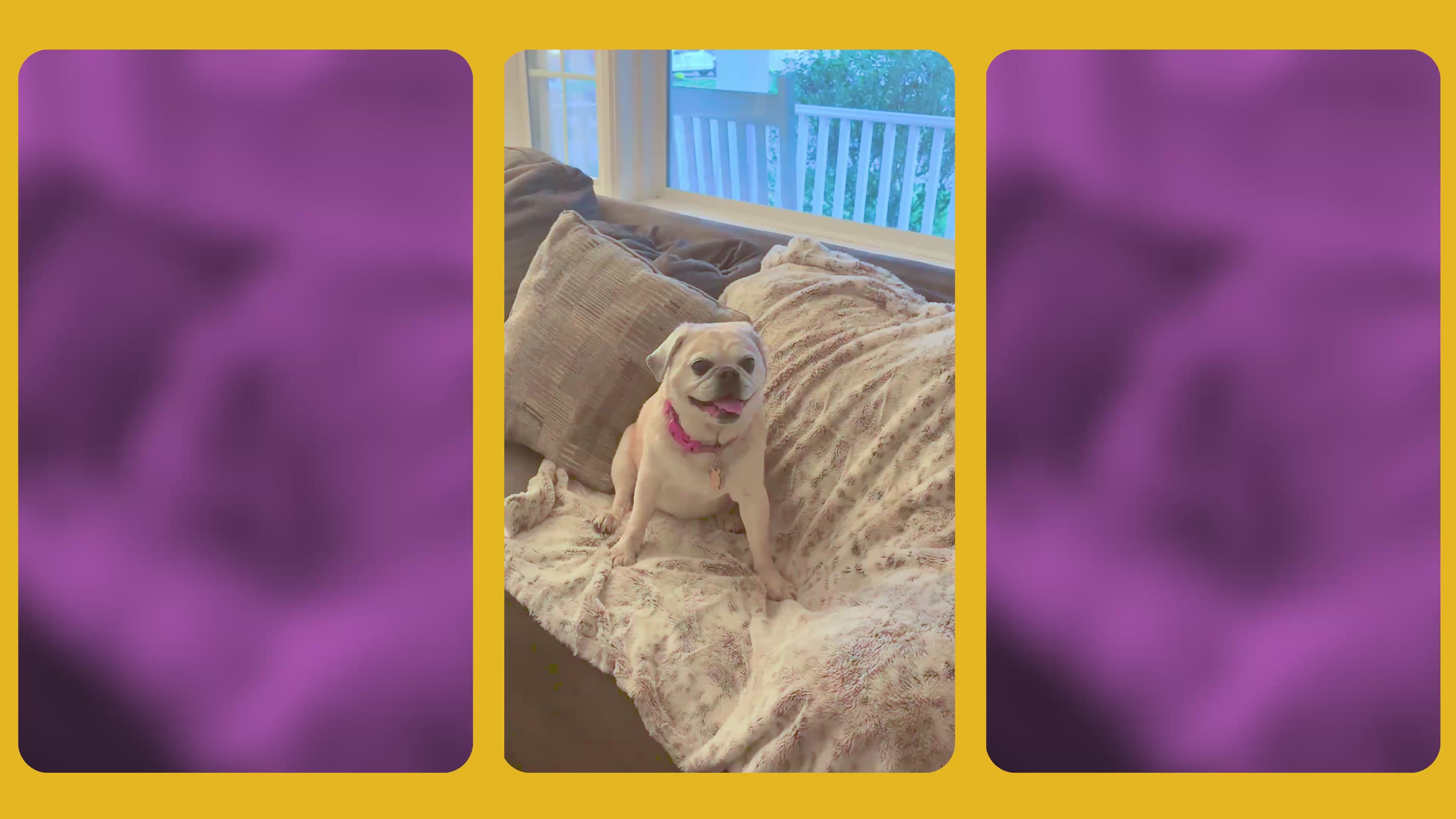 Emotional Support Pet Fries – Dog Toy by Relatable