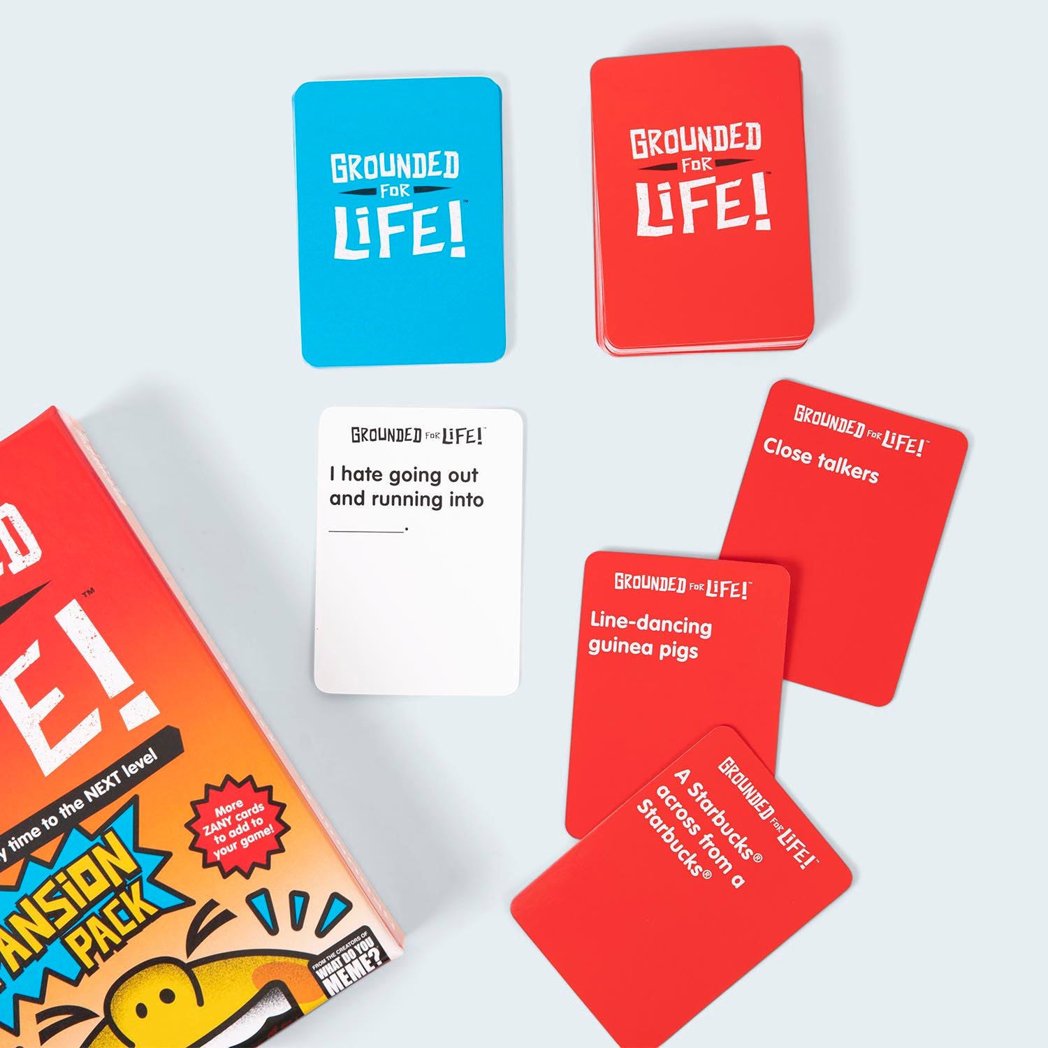 grounded-for-life-expansion-pack-game-box-and-game-play-09-what-do-you-meme-by-relatable